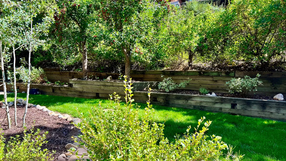 A wide view of a vibrant outdoor area with lush green grass, wooden garden beds, and mature surrounding trees. The landscape appears serene and ideal for casual gatherings, gardening, or simply relaxing outside.
